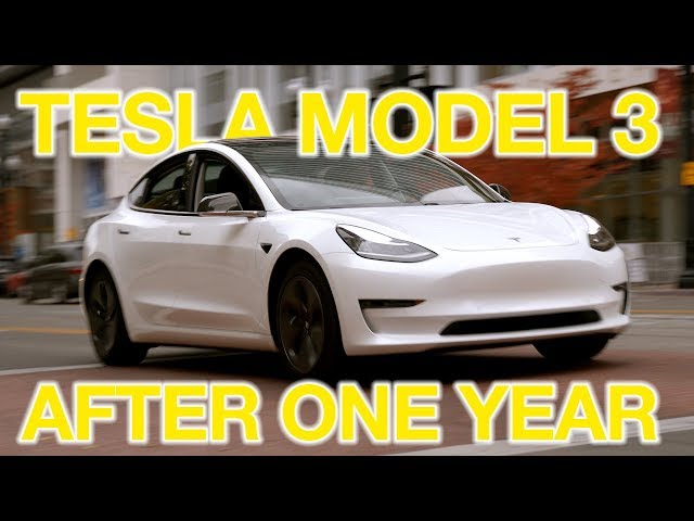 The TRUTH About Tesla Model 3 After 1 Year...