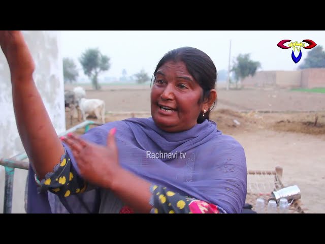 Pagal kuta//Ramzi Sughri Ghafar Thakar & Mai Sabiran New Funny Video By Rachnavi Tv