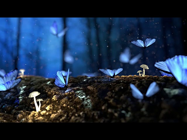 Istvan Sky - Estas Stonne - Pablo Arellano - The Song Of The Butterfly -Bado Edit #istvansky