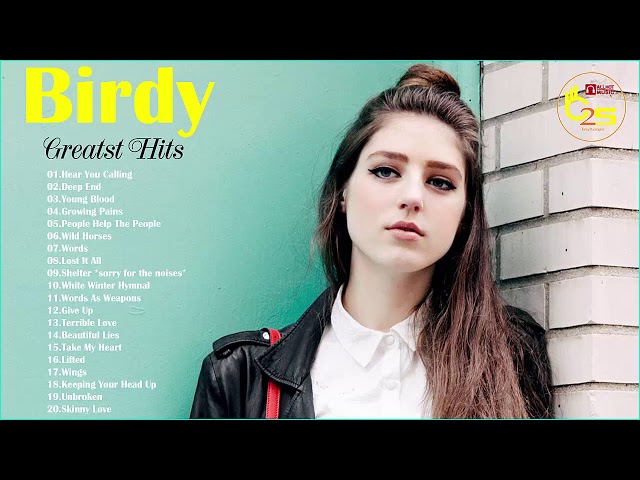 Birdy Greatest Hits - Birdy Playlist - indie rock 2018