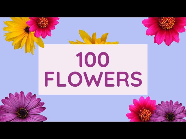 100 Flowers Name: Different Types of Flowers of the world