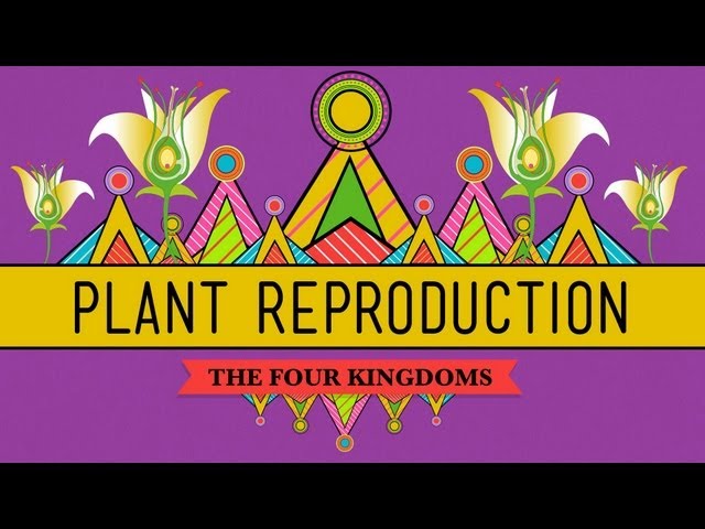 The Plants & The Bees: Plant Reproduction - CrashCourse Biology #38