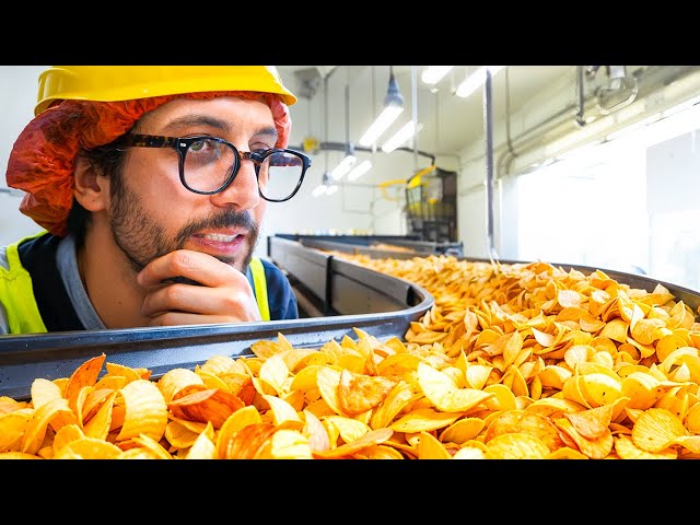 How It’s Made : Inside a French Potato Chip Factory