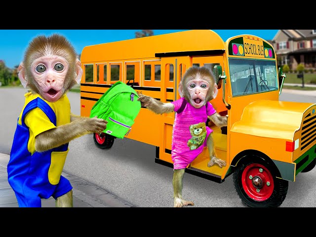 KiKi Monkey try to Take Care Of Baby quickly to catch School Bus in time | KUDO ANIMAL KIKI