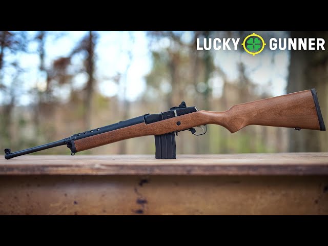 Why Won't the Ruger Mini-14 Just Die? [Part 1]