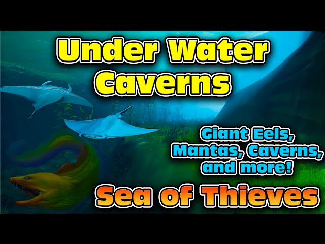 Manta Rays, Rare Spawns, New Aquatic Life, and more! Update Speculation for Sea of Thieves