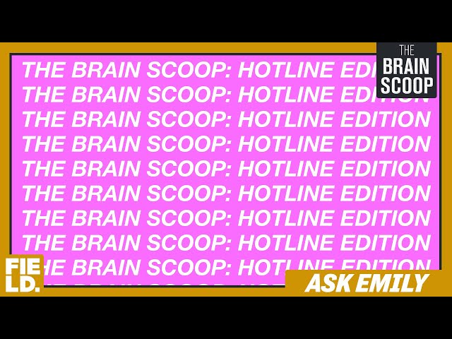 Hotline Edition | Ask Emily