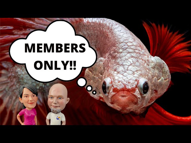 Members Only Fish Talk!
