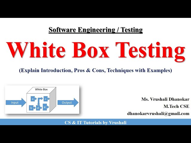 SE 42 : White Box Testing | Techniques with Examples