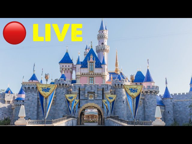 🔴 Disneyland LIVE | Disney Fun, Rides, Food, Merchandise, Wednesday  2024
