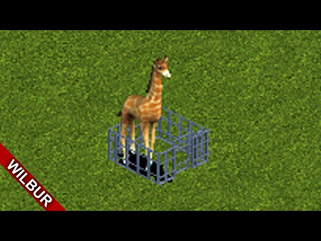 Releasing Every Animal in Zoo Tycoon