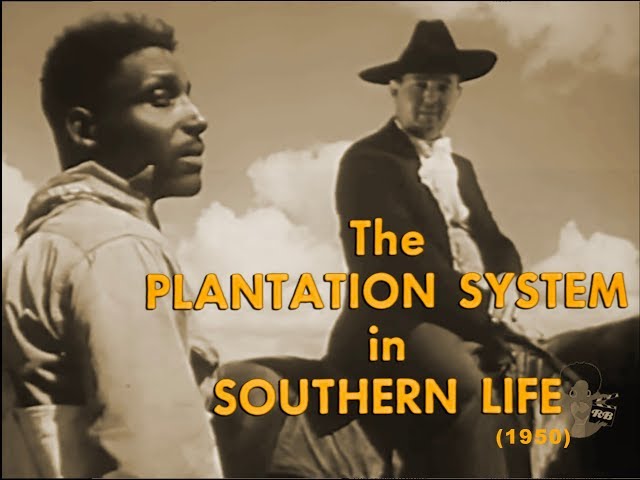The Plantation System in Southern Life (1950)