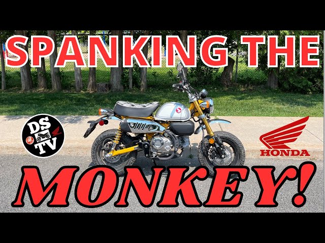 Honda Monkey on and Off Road Test and Review
