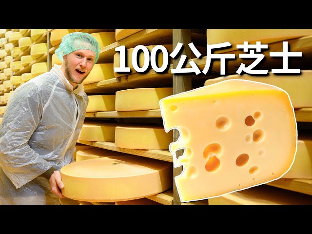 [ENG中文 SUB] From COW to CHEESE - CHEESEMAKING in Austria