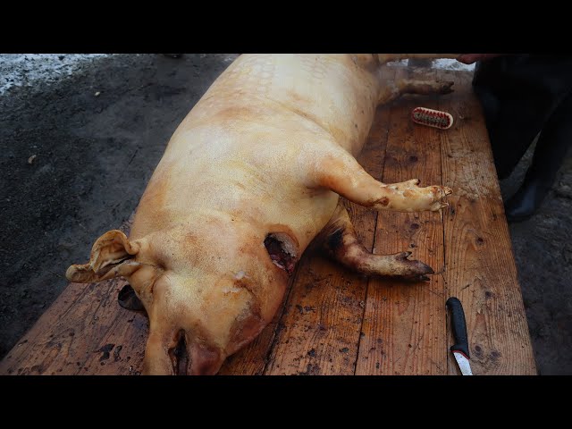 How to cutting a Pig in Transylvania part 2