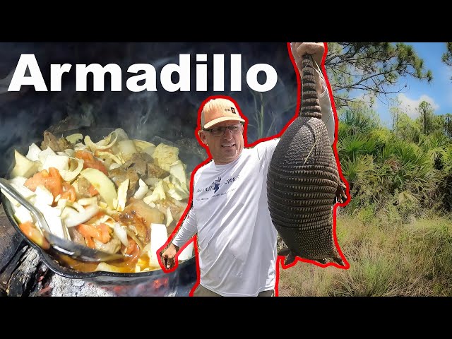 Swamp Cabbage, Armadillo and Wild Boar! Wild Food on an open fire!