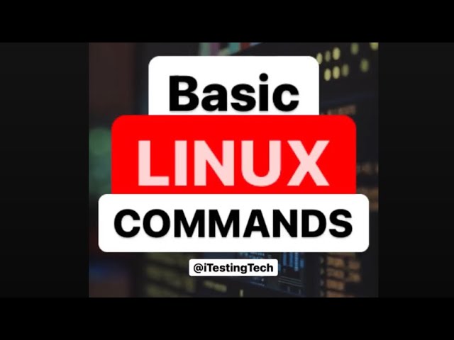 Basic Linux Commands Every Programmer Should Know #shorts #dev #developer #linux
