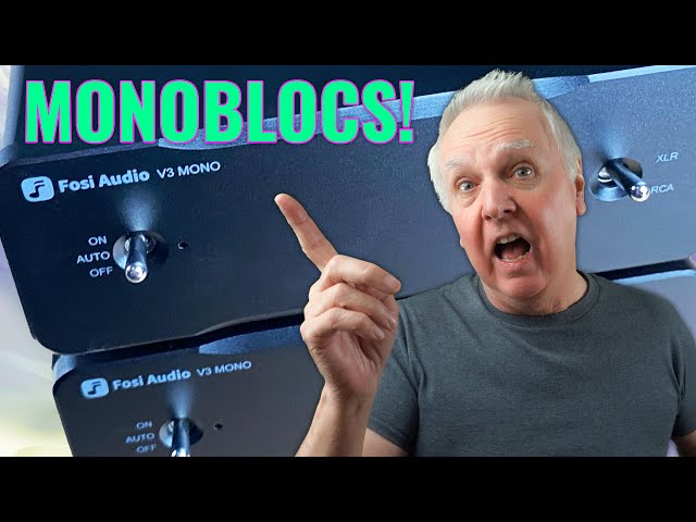 Be a REAL audiophile with MONOBLOCS - Twin Fosi V3 Mono
