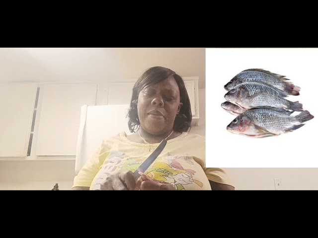 Solar Eclipse! Stew'd Fish & Rice!! TryThis Recipe!