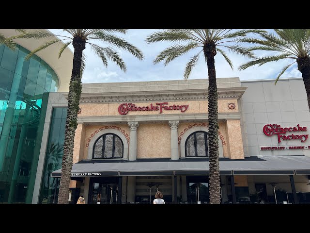 Eating at The Cheesecake Factory in Mall at Millenia in Orlando | Restaurants in Orlando, Florida
