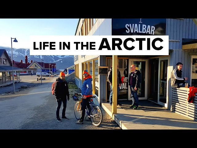 Life Inside The World's NORTHERNMOST Inhabited City // Cats Are BANNED