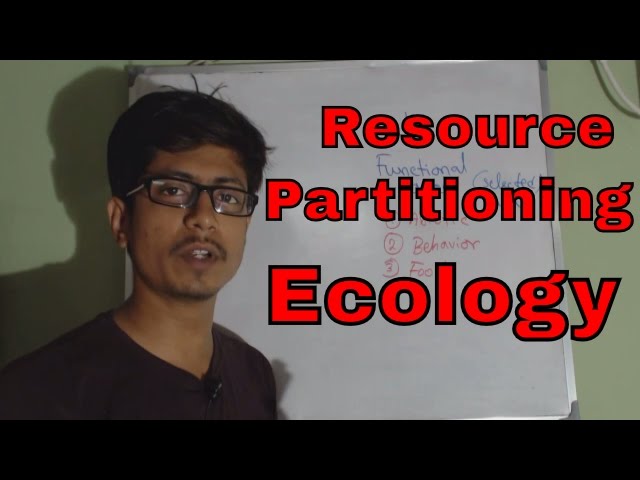 Resource partitioning