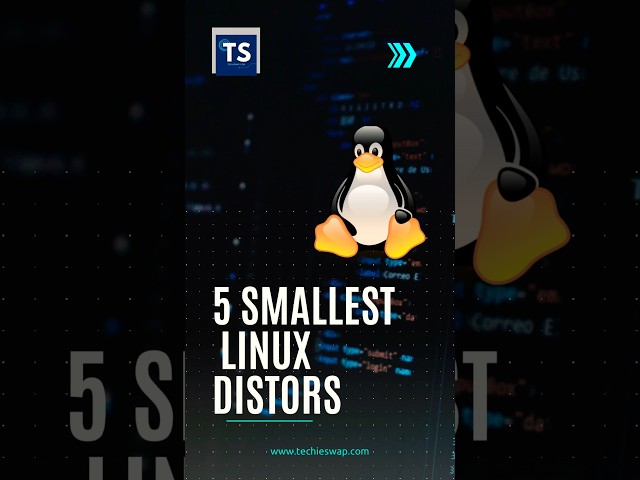 Top 5 Smallest Linux Distros | Tiny Linux Distro | Techieswap #linuxlite #puppylinux #linuxtips