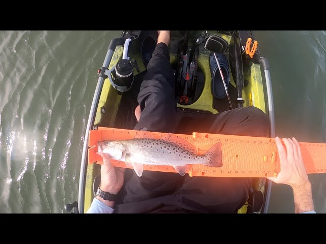 3 Keeper Speckled Trout in just 20 minutes | South Carolina Kayak Fishing