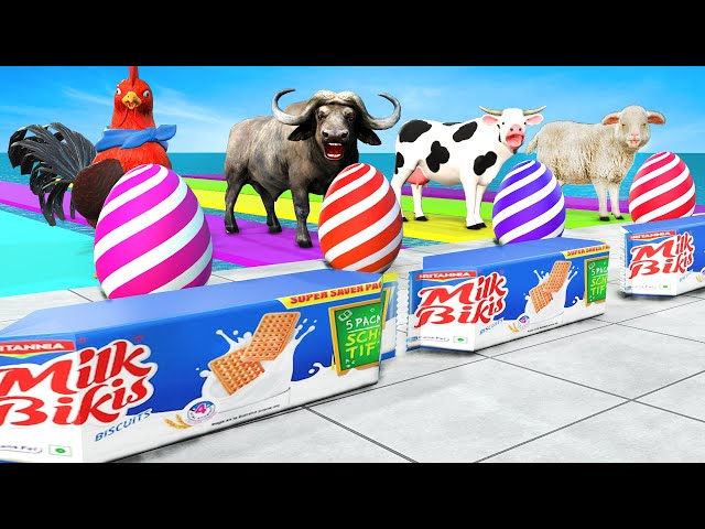 Cow Cartoon Buffalo Goat Rooster Sheep Mystery Eggs Challenge Don't Choose The Wrong Milk Biscuits
