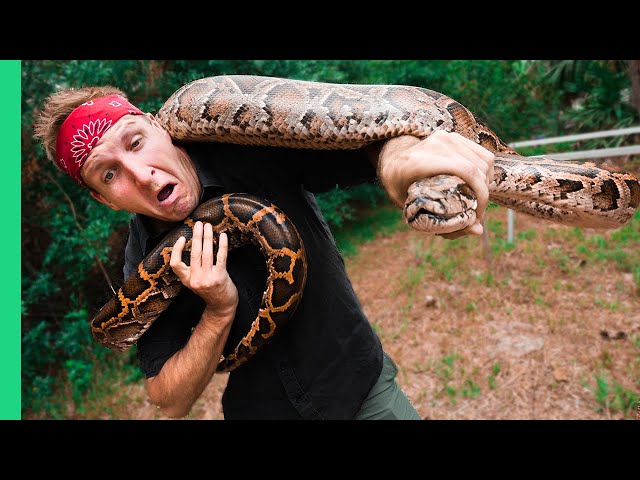 Catching and COOKING Florida’s MOST Dangerous Killer! (HAND CAUGHT!!!)