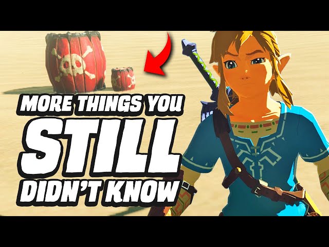 29 MORE Things You STILL Didn't Know In Zelda Breath Of The Wild