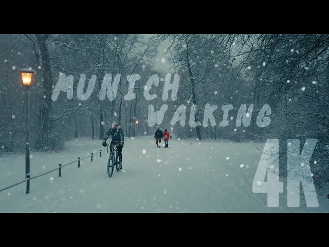 Walking in Munich 4K Germany, English Garden Winter Walk Snow ASMR