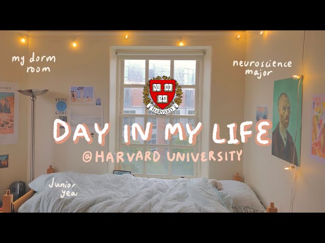 college day in my life as a harvard student
