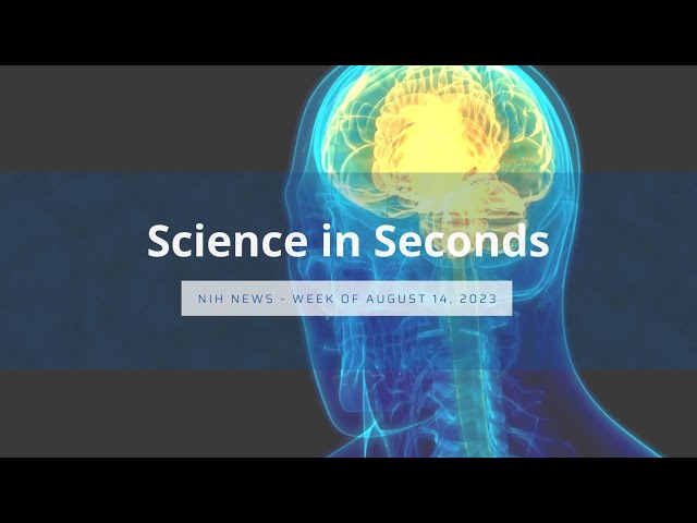NIH Science in Seconds – Week of August 14, 2023