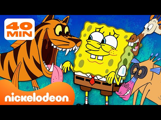 سبونج بوب | كل مخلوق على الإطلاق من سبونج بوب | مجموعة مدتها 40 دقيقة | Nickelodeon Arabia