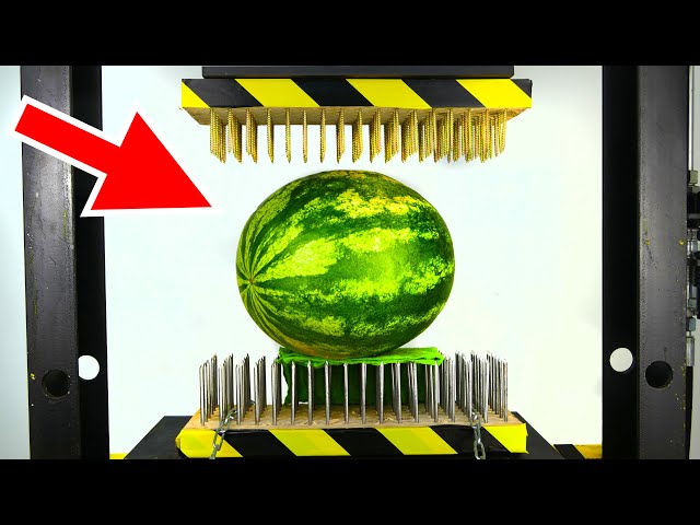 WATERMELON BETWEEN NAIL BEDS (Hydraulic Press with nails)