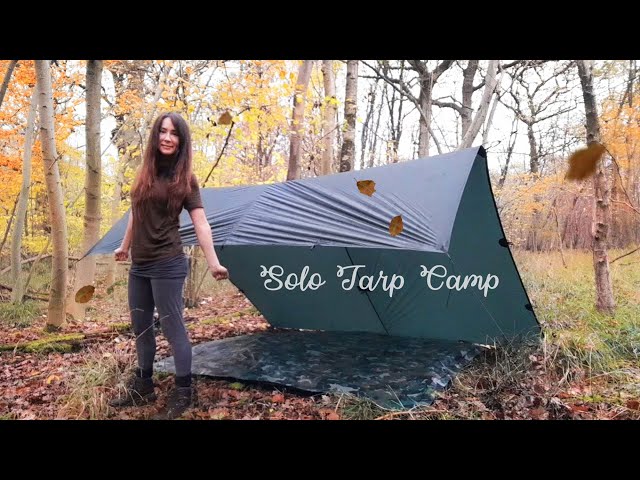 Rainy Autumn Tarp Camp in the Woods 🍂