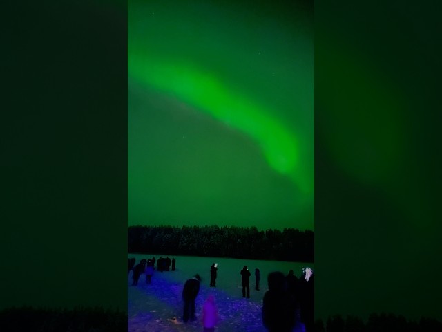Nothern Lights in Real Time | Lapland | Finland | Amazing nothern lights