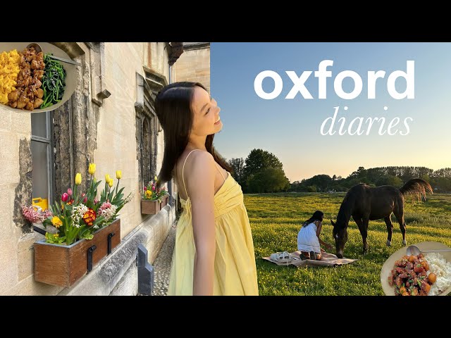 oxford diaries 🌼 that summer feeling, coping with fear of change, being productive