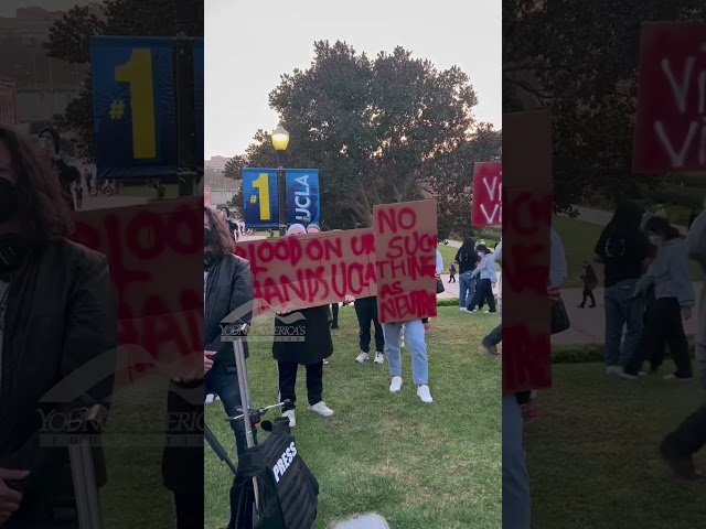 Inside The MADNESS At UCLA's Pro-Palestine Protests