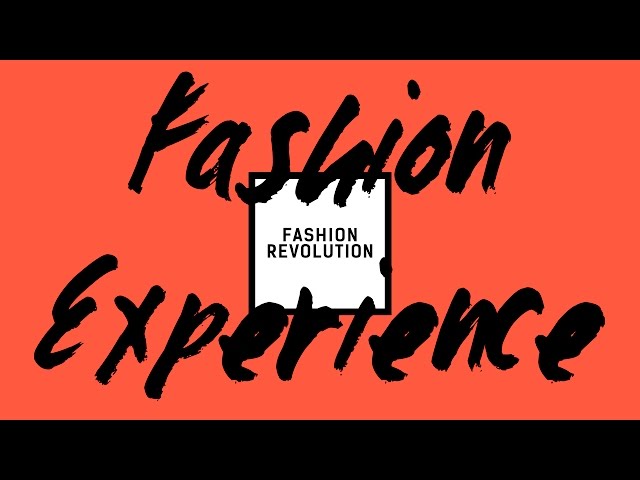 Fashion Experience