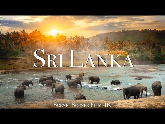 Sri Lanka In 4K - Land Of Stunning Natural Wonders | Scenic Relaxation Film