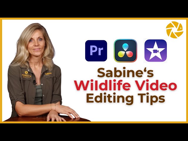 Sabine's Wildlife Video Editing Workflow