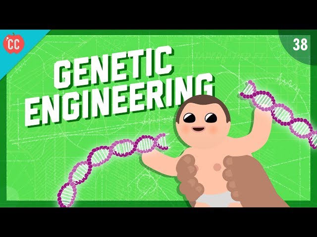 Changing the Blueprints of Life - Genetic Engineering: Crash Course Engineering #38