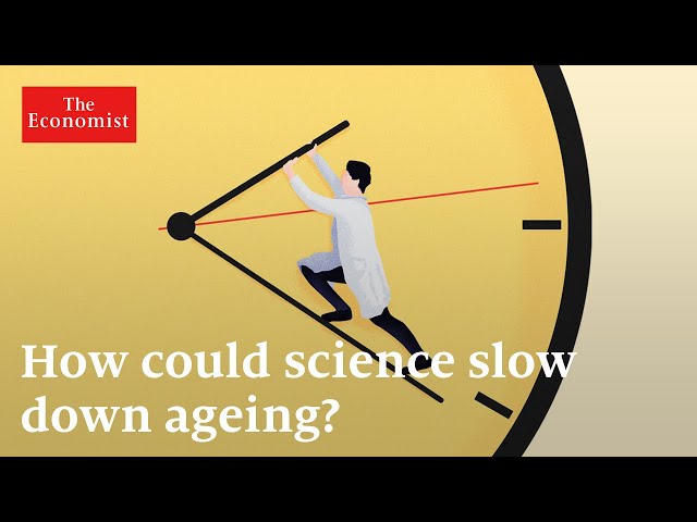 Longevity: can ageing be reversed?