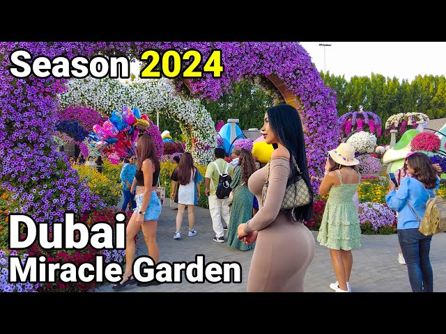 Dubai Miracle Garden 2024 🇦🇪 The Most Beautiful Gardens in the World