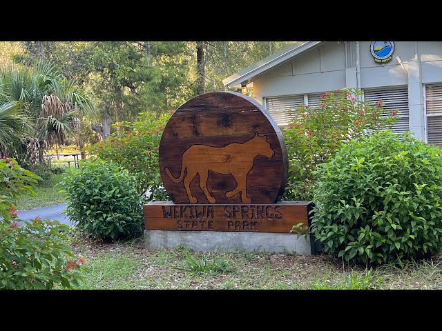 Going to Wekiwa Springs State Park in Apopka, Florida | Things to do in Apopka, Florida