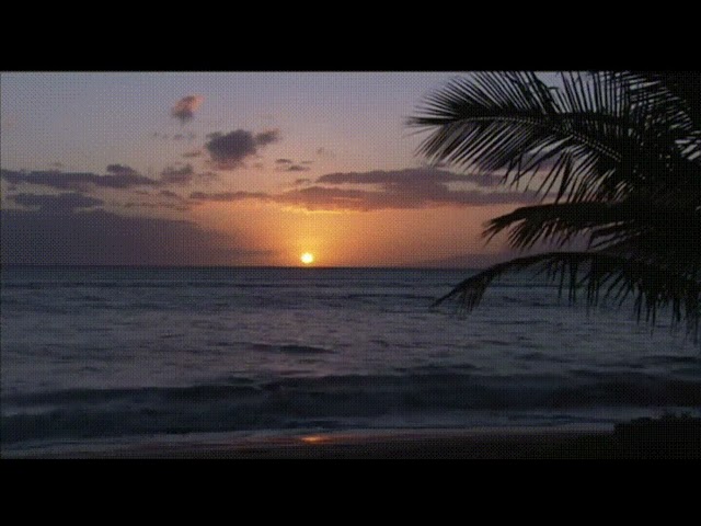 Aloha Vibes | Relaxing Waves | Meditation, Studying, Music |