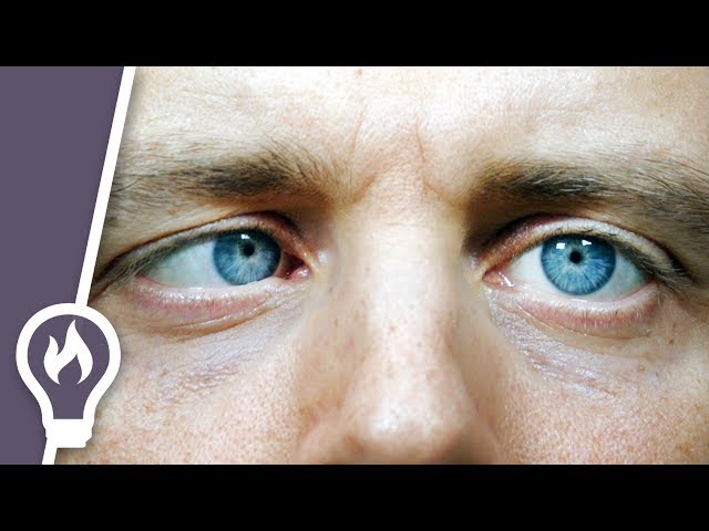 How to move one eye on its own (and the science of eye movement)
