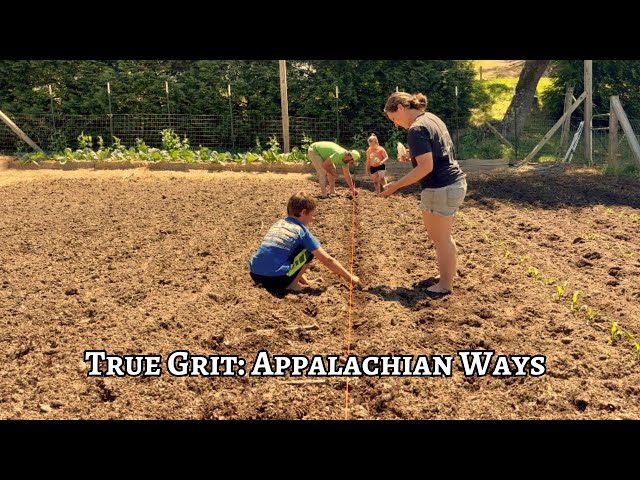 We’d Rather Plant Too Much | Homestead Vlog | May 6, 2024